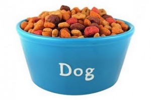 dog food coupons buy online
