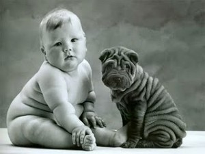 New baby and family dog dog baby family puppy