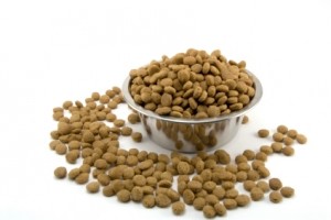 Dog Food dog food brands pet food