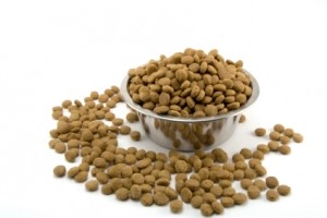 dog food brands pet food