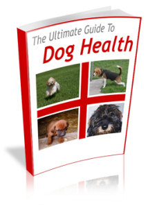 dog health book cover large ultimate guide