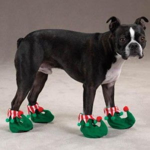 dog shoes fun holiday dog slipers santa christmas