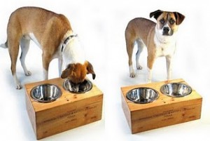 safe healthy dog food bowl