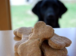 puppy dog treats