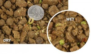 dry dog food wet dog food formula