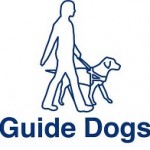 guide dog lead blind