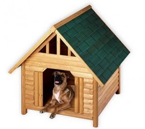 dog kennel outdoor dog house regulate temperature
