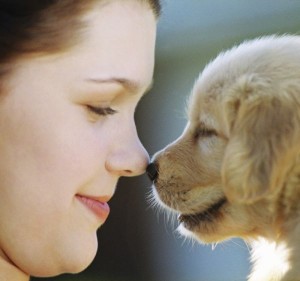 cute dog health care cute dog health care