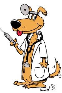 dog vaccination vet doctor distemper disease