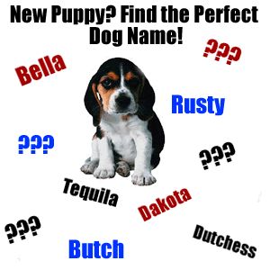 puppy naming dog names