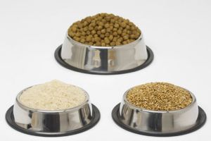 Good brands offer best dog food dog food brands offer
