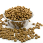 Dog food recalled for salmonella