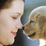 Dog care educational videos