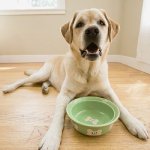 Read important secrets about dog food quality