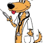 Information about distemper disease in dogs